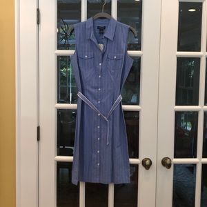 Ann Taylor Dress
